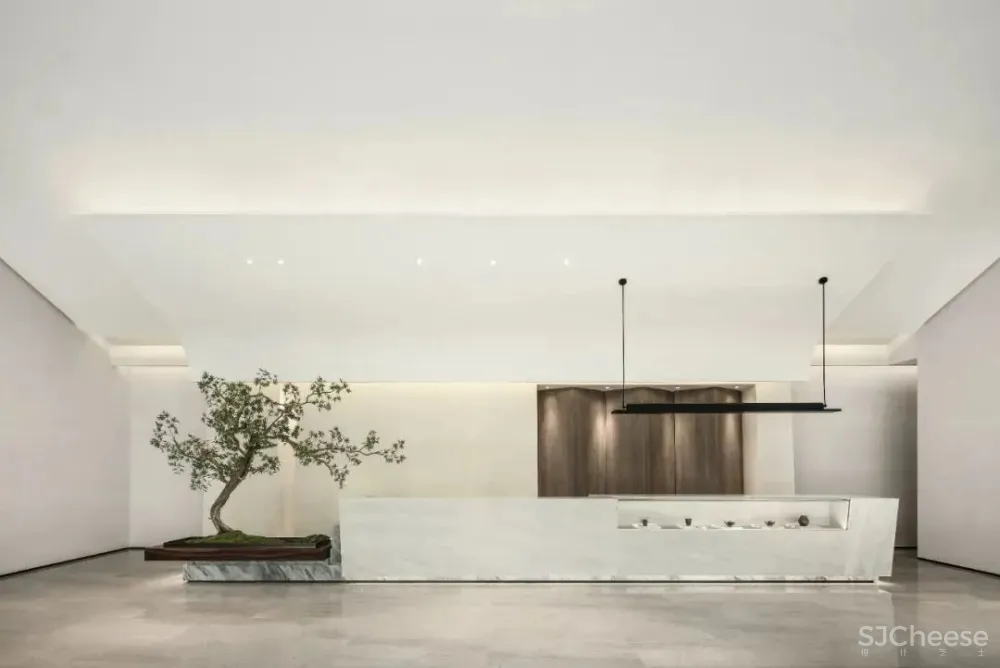 696㎡山谷中的理想人居，给人以全新的沉浸式体验 NNS纳沃