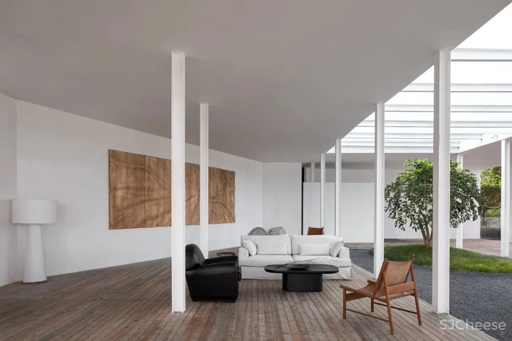 今古凤凰 来于自然,归于自然