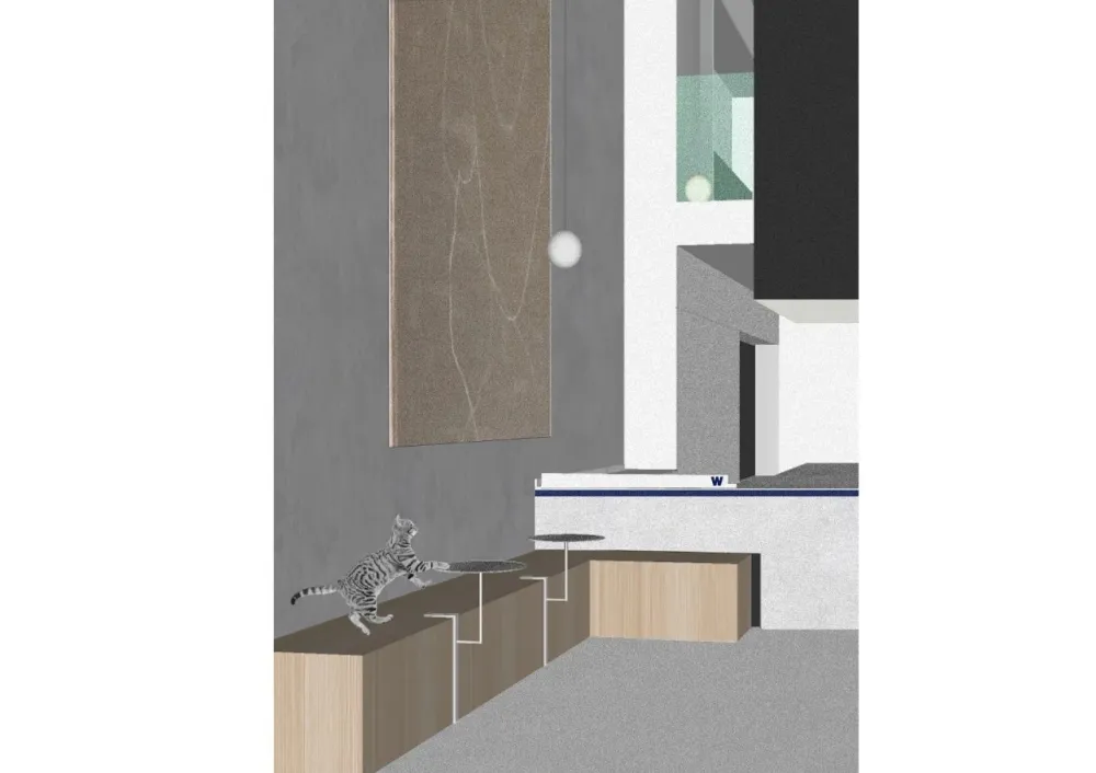 光影层叠,捕捉生活美的方式