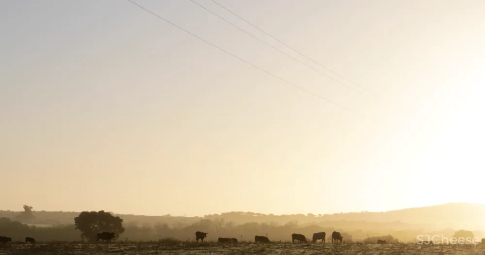 一座孤独的乡村民宿，400公顷田园丛林，这里的心灵治愈很高级！