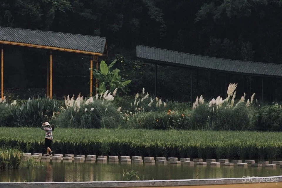 以意赋象,以象见意 竹枝书院 小隐建筑事务所