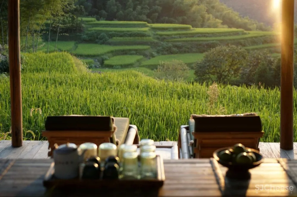 西坡又一新作,稻田躺吧、万亩梯田、四时瓜果……可以打卡了!