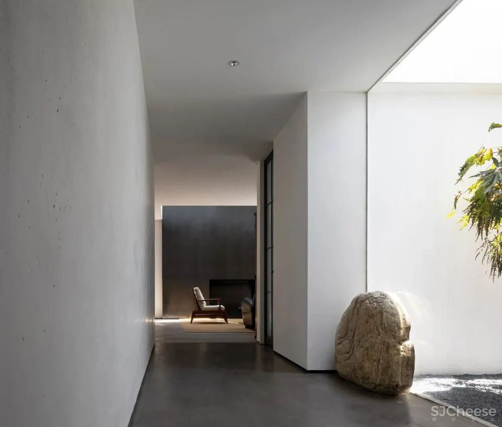 今古凤凰 来于自然,归于自然