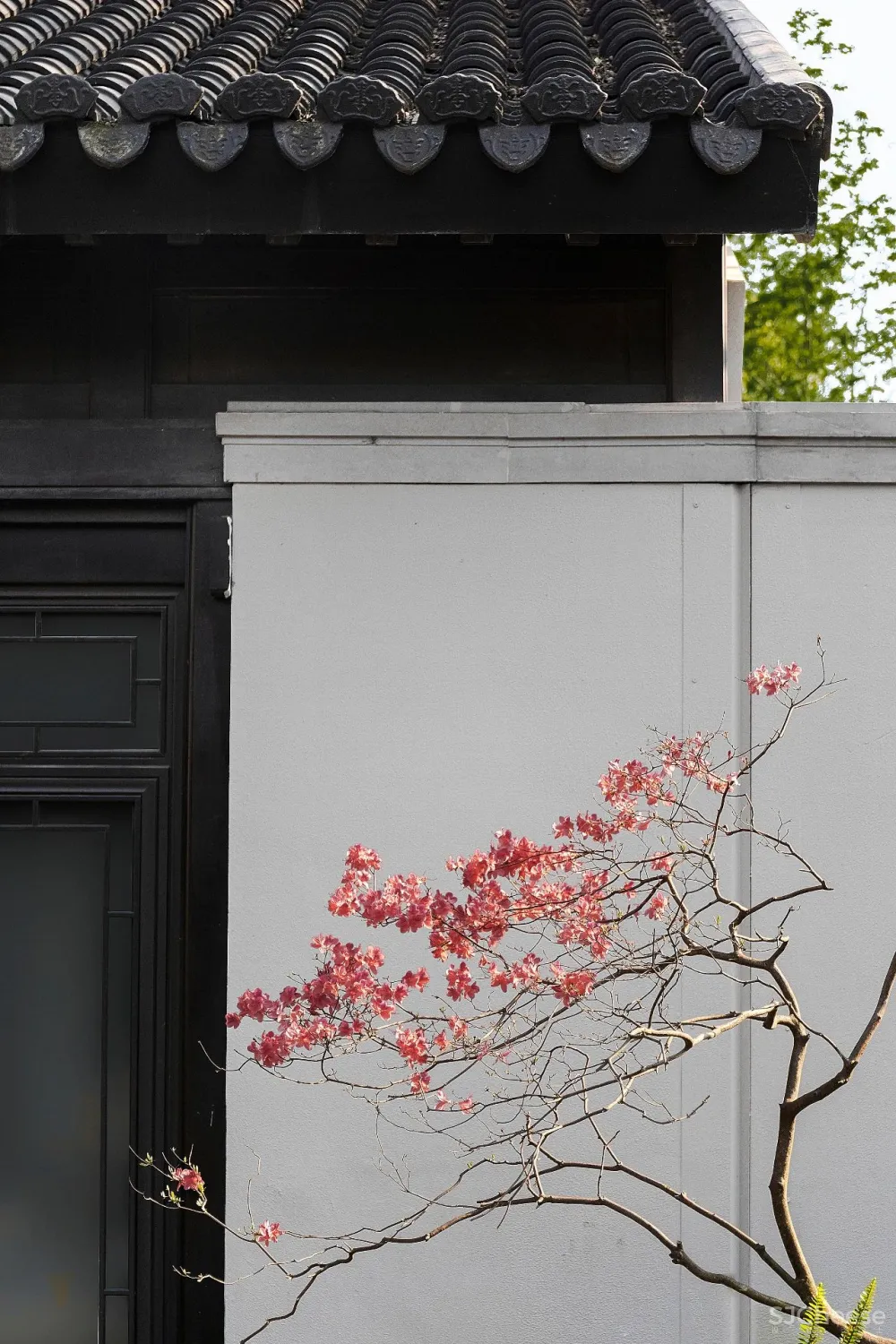 大朴设计 :院中有院演绎江南美学