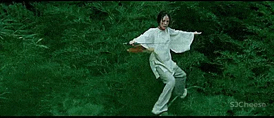 色彩变幻，邂逅张艺谋的光影艺术 予以设计