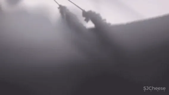 光影层叠,捕捉生活美的方式