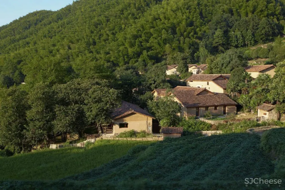 西坡又一新作,稻田躺吧、万亩梯田、四时瓜果……可以打卡了!