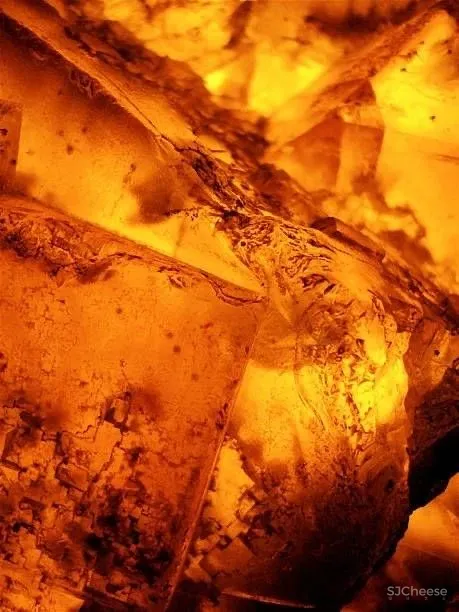 SNP 设计奢尺豪宅,都市内的野奢桃源