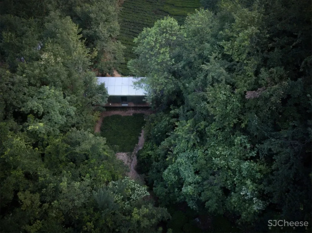 茶田里的悬浮木屋 千山云舍三峡木屋酒店