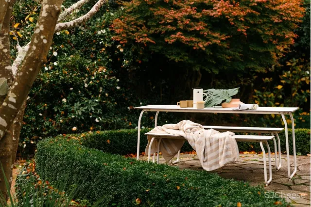 秋韵偏爱这抹自然色彩