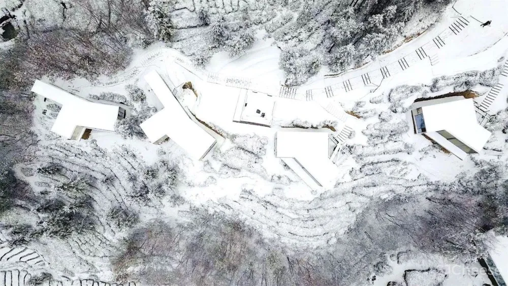 茶田里的悬浮木屋 千山云舍三峡木屋酒店