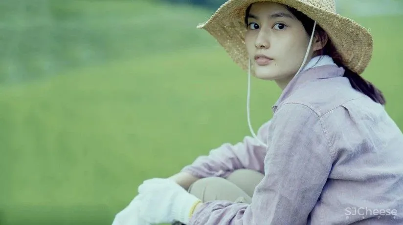 北野武、是枝裕和、岩井俊二……日系名导都怎么搞配色？