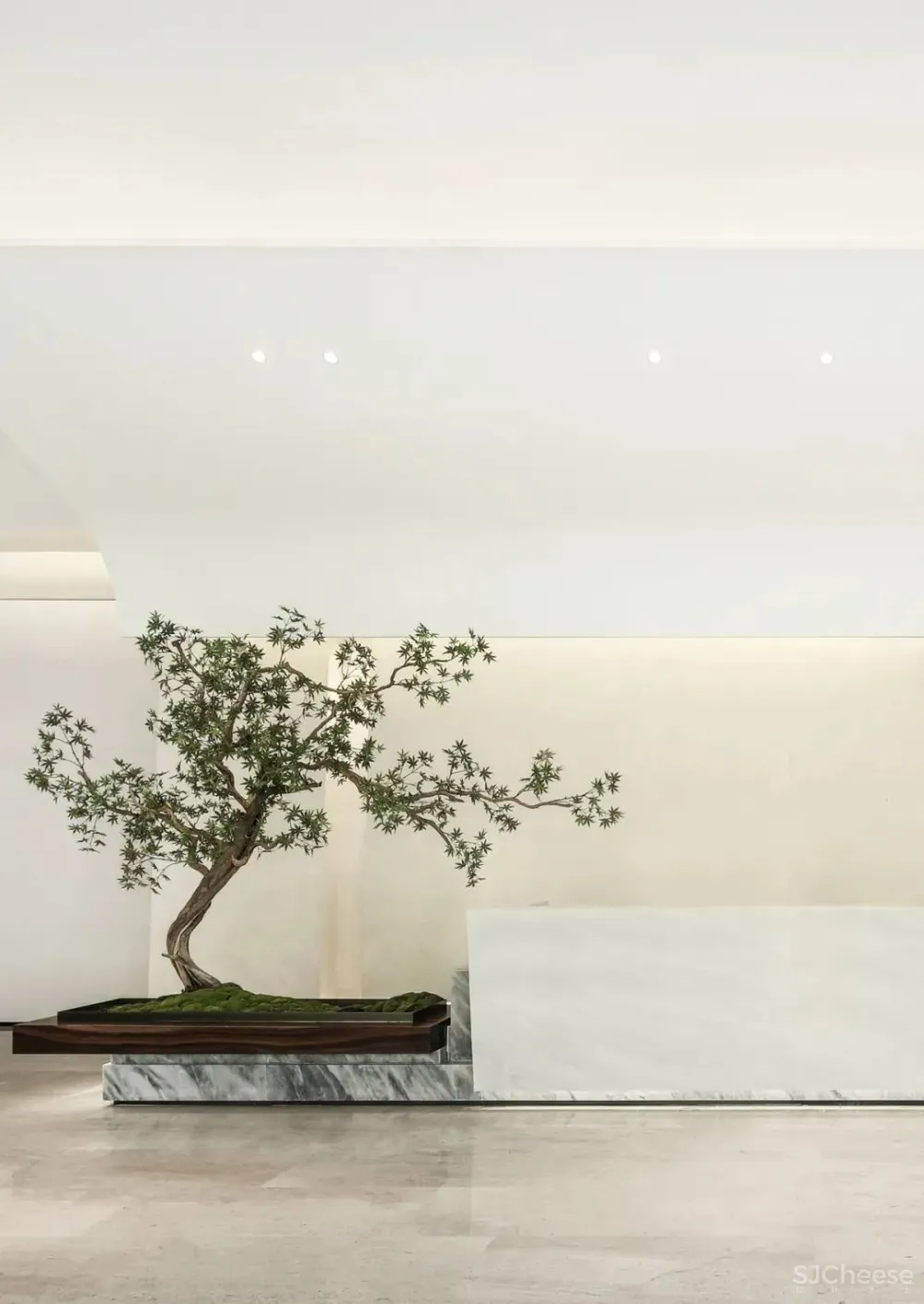 696㎡山谷中的理想人居，给人以全新的沉浸式体验 NNS纳沃