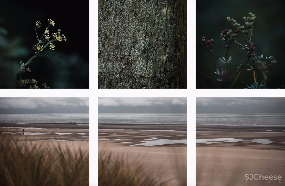 米其林大厨将餐厅开在莫奈画中静美的乡村,美食也是一种超级治愈!