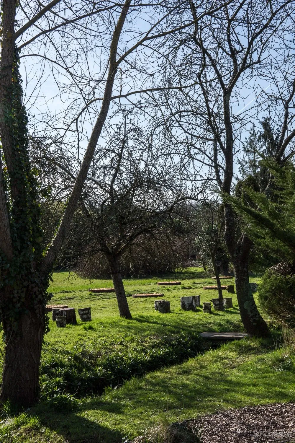 米其林大厨将餐厅开在莫奈画中静美的乡村,美食也是一种超级治愈!