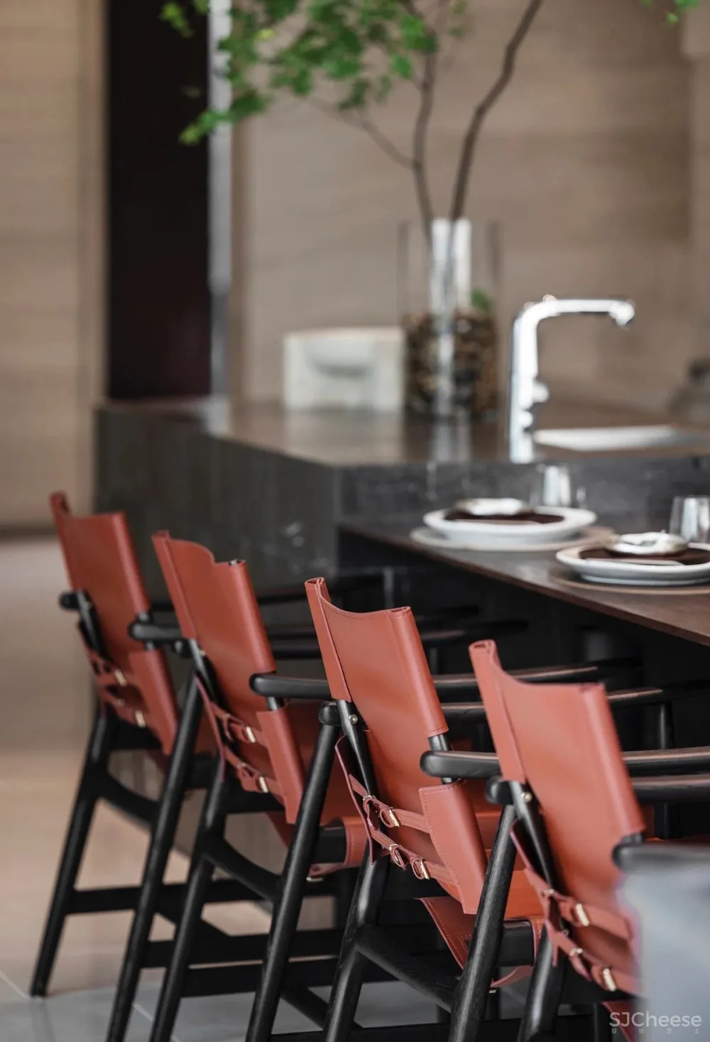 SNP 设计奢尺豪宅,都市内的野奢桃源