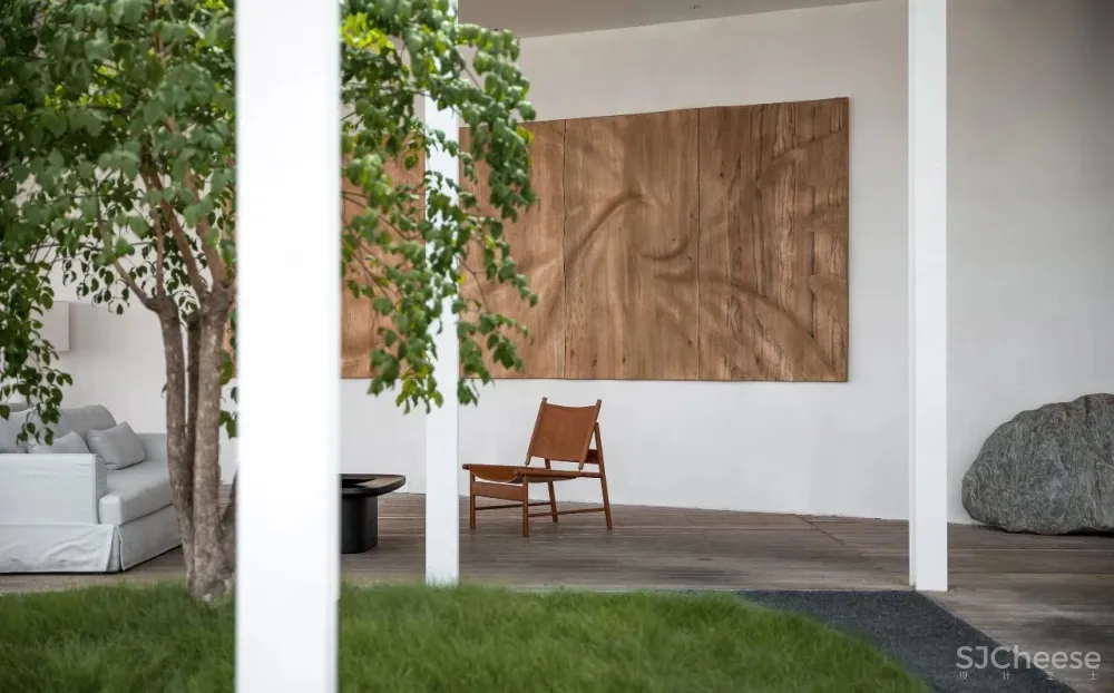 今古凤凰 来于自然,归于自然