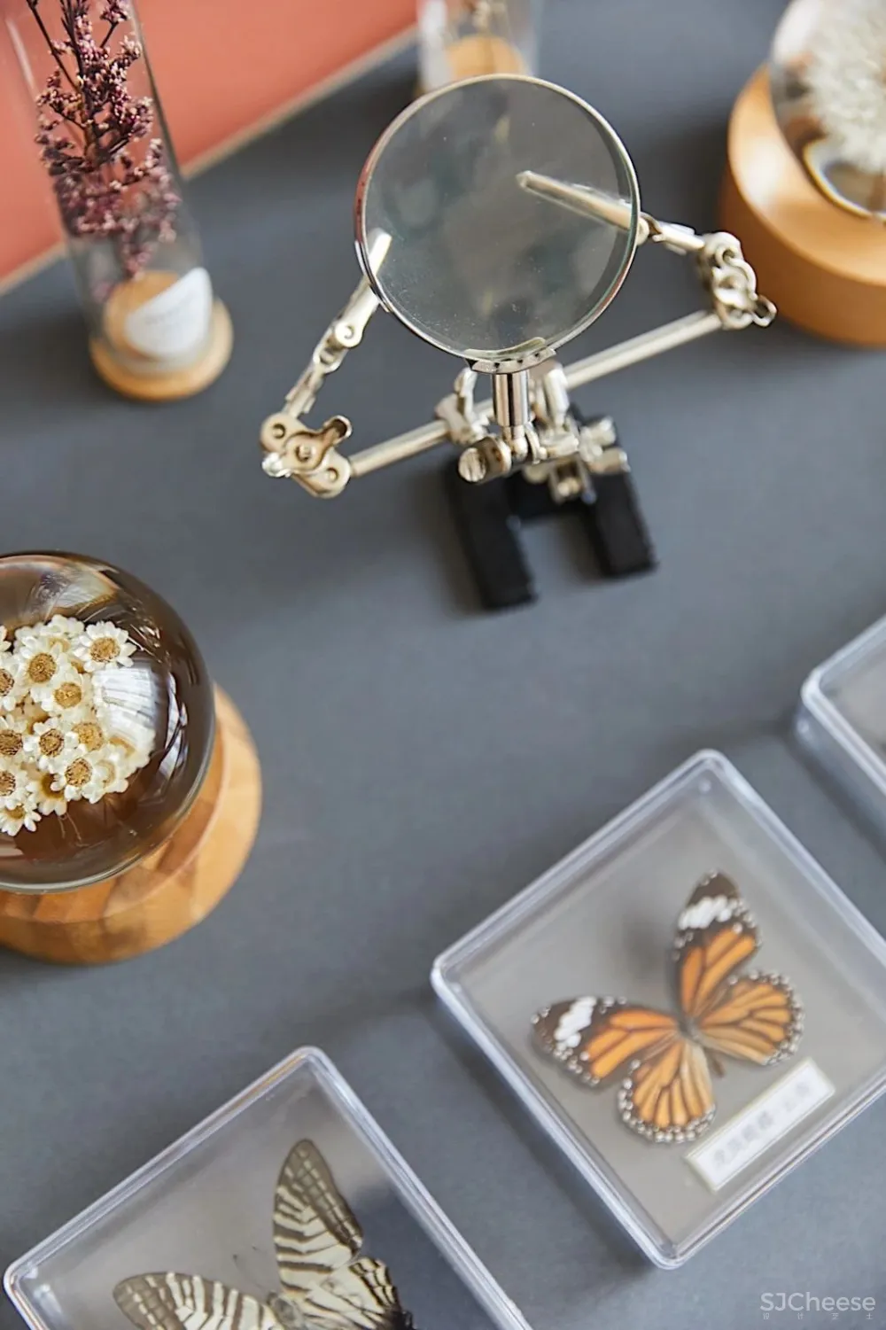 雅趣与轻奢之栖 , 108㎡华侨城滁州欢乐明湖•源庭样板间 飞视设计