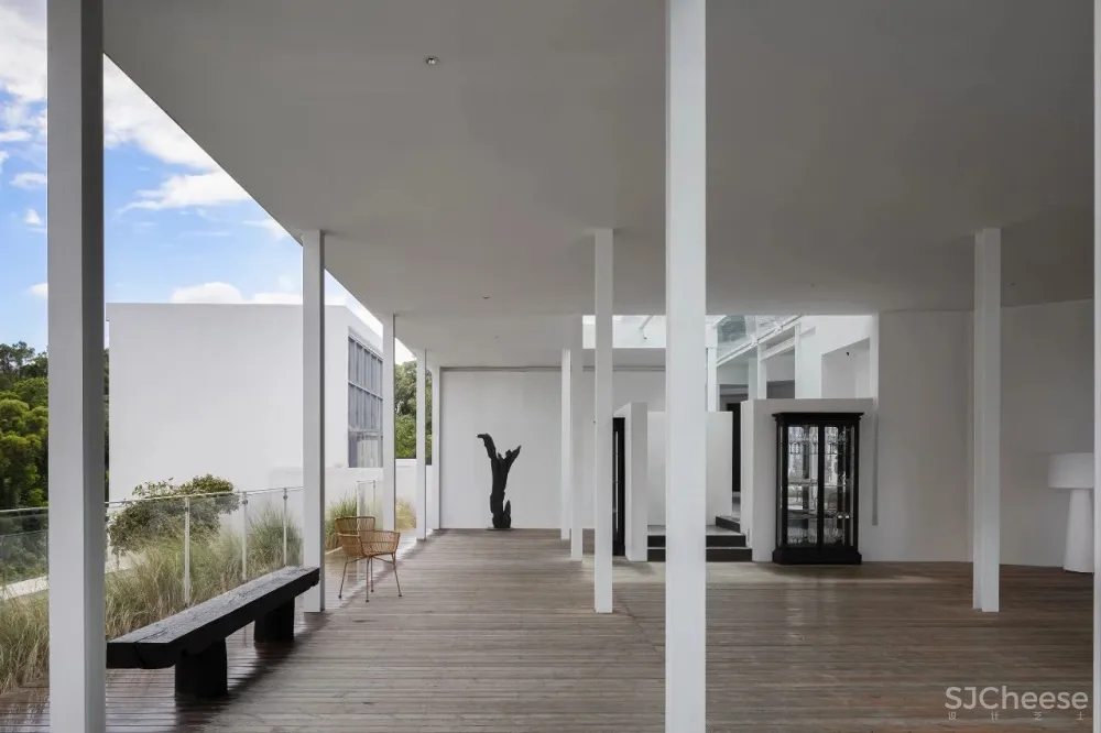 今古凤凰 来于自然,归于自然