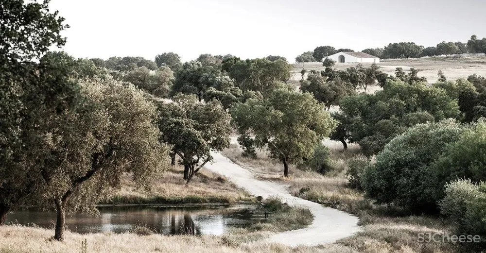 一座孤独的乡村民宿，400公顷田园丛林，这里的心灵治愈很高级！