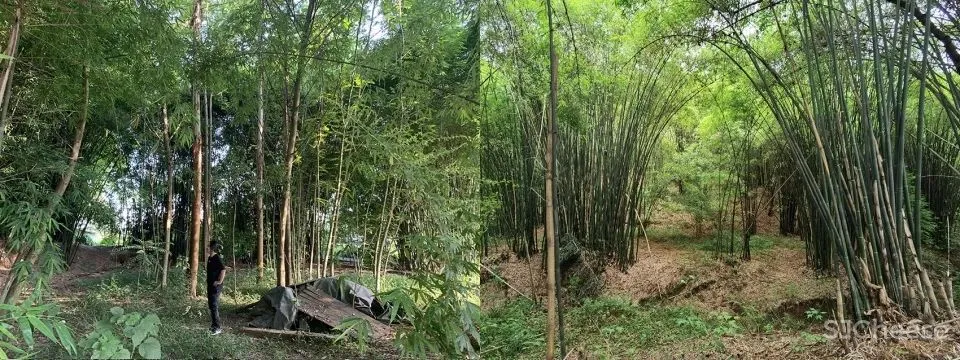 以意赋象,以象见意 竹枝书院 小隐建筑事务所