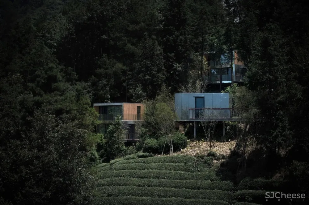 茶田里的悬浮木屋 千山云舍三峡木屋酒店