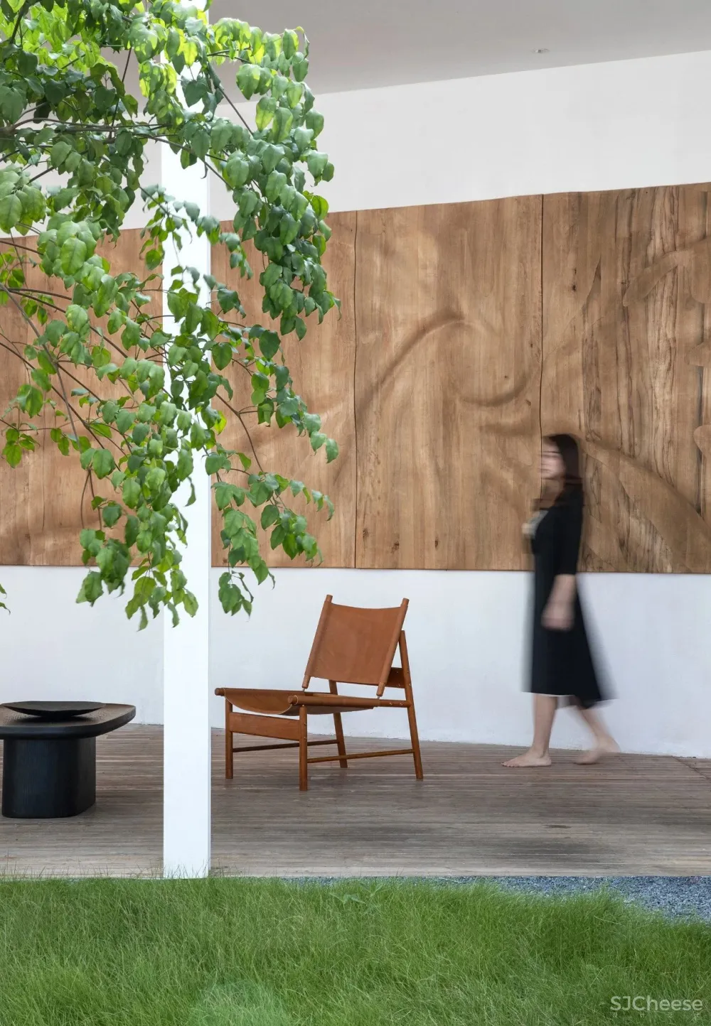 今古凤凰 来于自然,归于自然