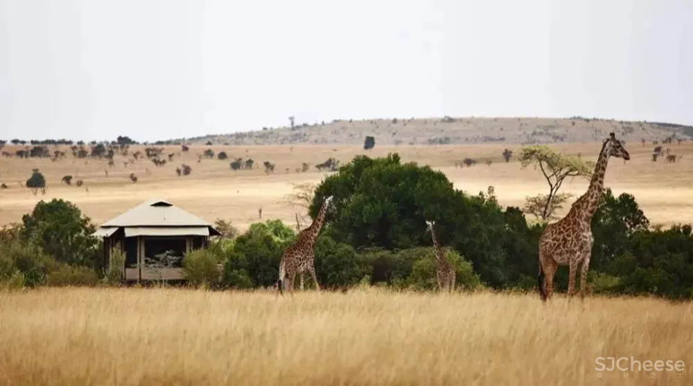 与闹市隔绝的静谧感受- 曼谷Sindhorn凯宾斯基酒店!