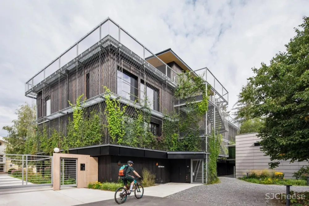 斯诺赫塔设计的木结构办公楼,用景观包裹外墙,环保的材料都是可回收的