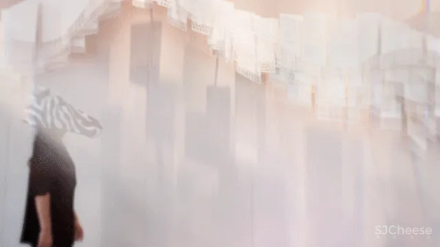 刘卫军:共赴一场自然绮梦,让灵魂得到片刻自由!