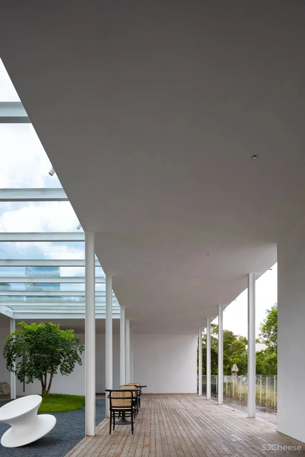 今古凤凰 来于自然,归于自然