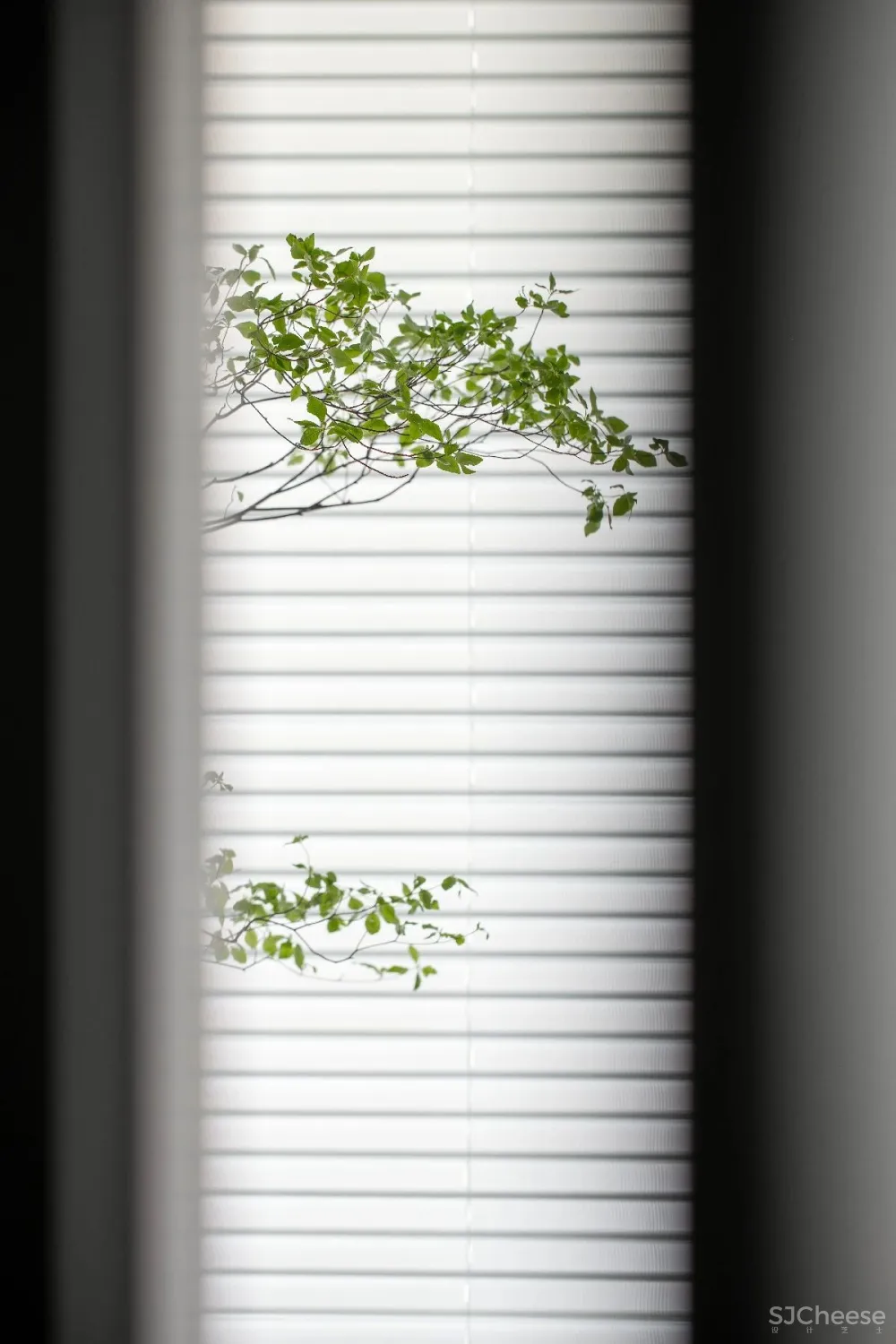 加减法则,还原设计实用本质 素图空间设计