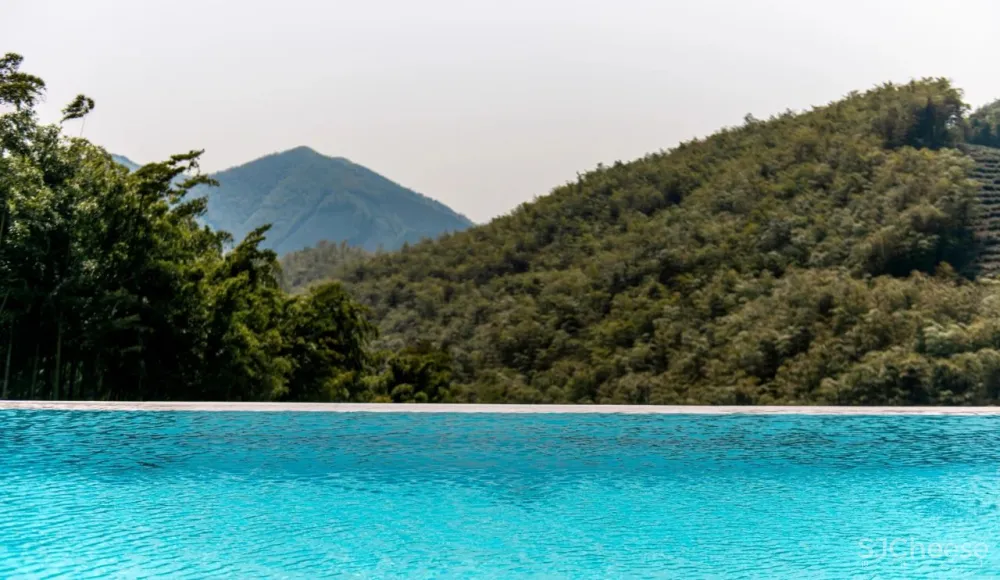 竹海里的极简酒店,美。