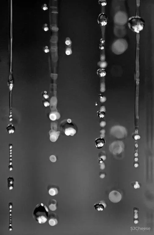 奢华别墅样板间，注入现代生活的美感！