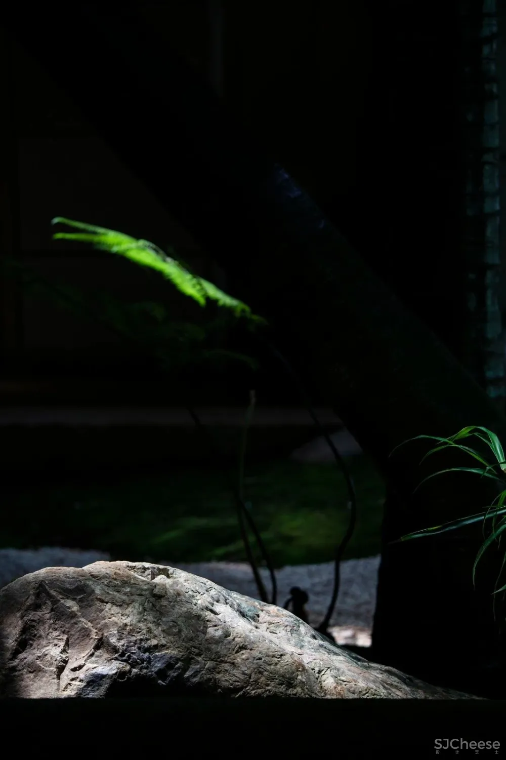 移步梦蓝美景,探寻安然意境 刘姮