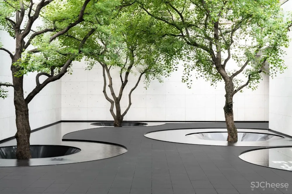 引领变革的前卫设计,让生活回归本真!