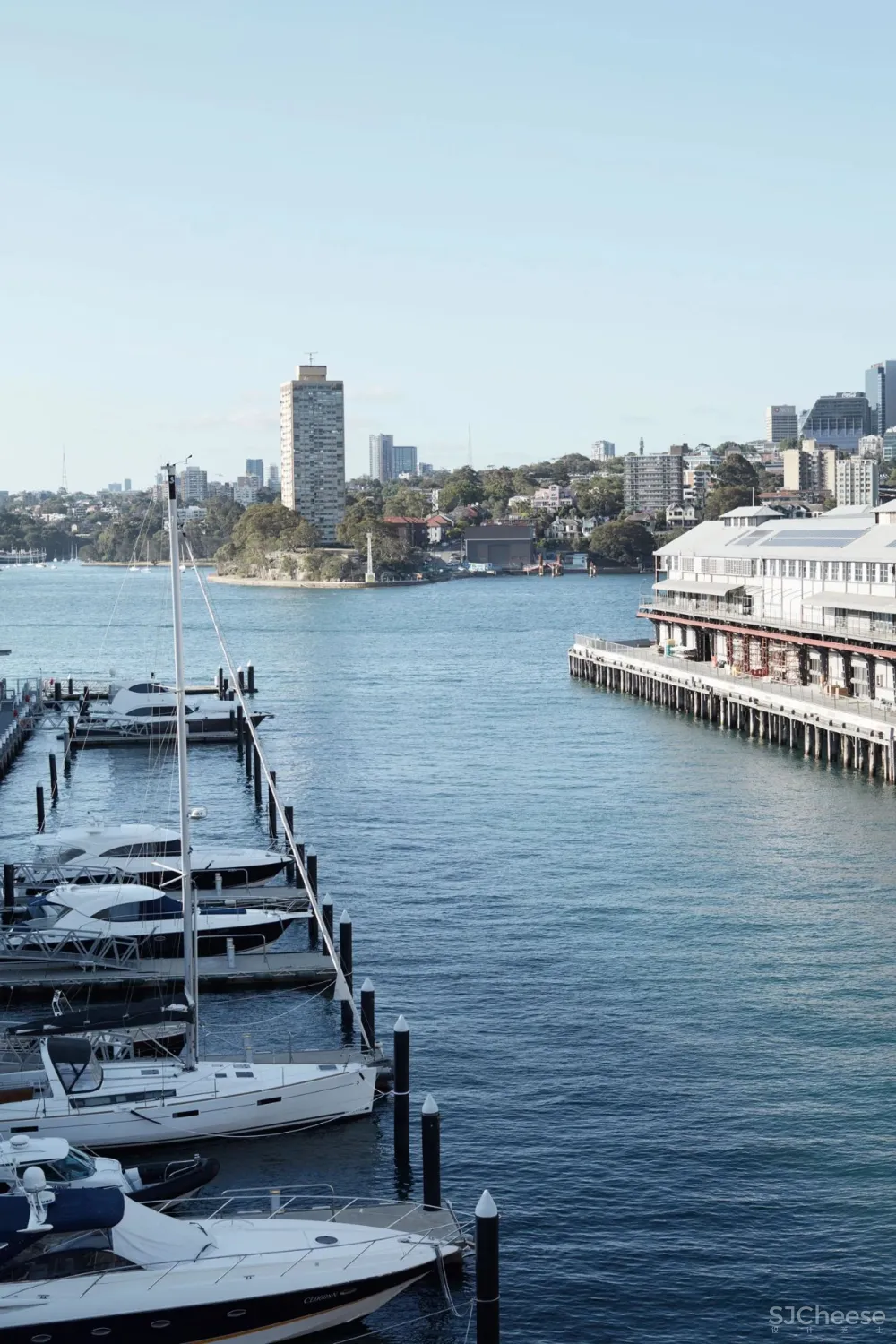 港湾边住宅,每天醒来都是惊喜;色彩与艺术品,也让人百看不厌