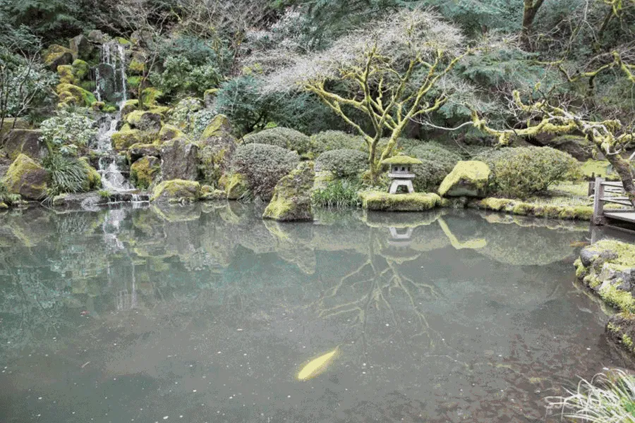 隈研吾设计的波特兰日本文化村,是如何成为文旅融合典范的?