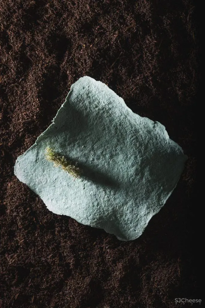 米其林大厨将餐厅开在莫奈画中静美的乡村,美食也是一种超级治愈!