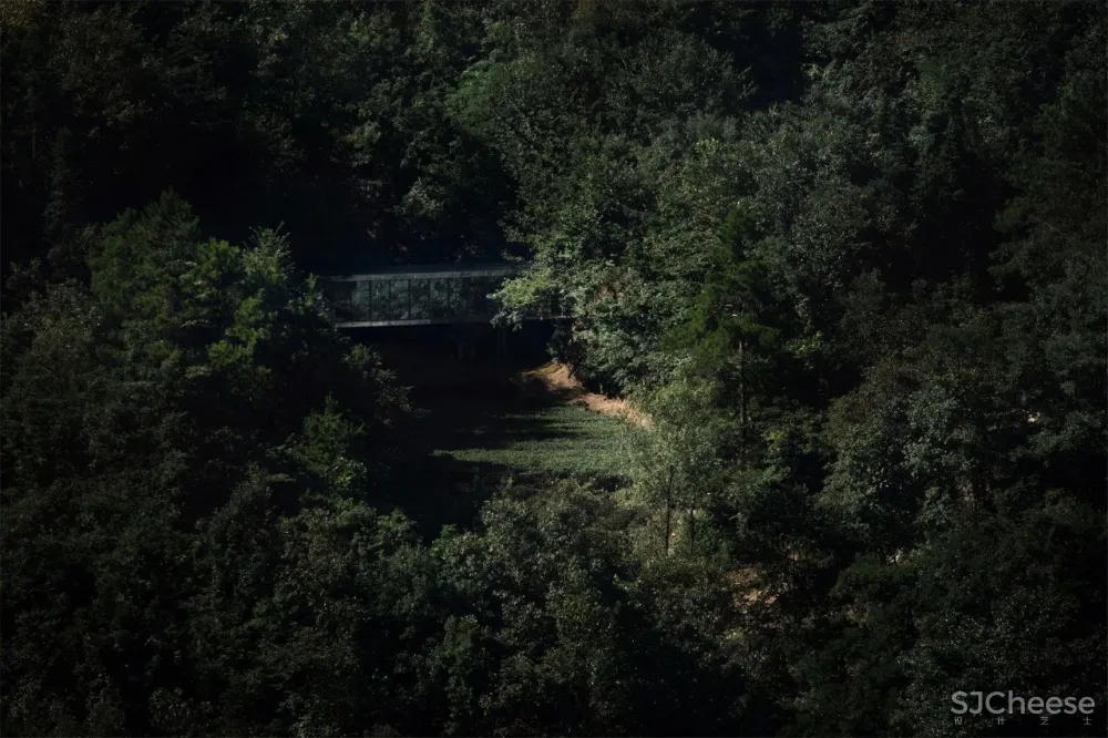 茶田里的悬浮木屋 千山云舍三峡木屋酒店