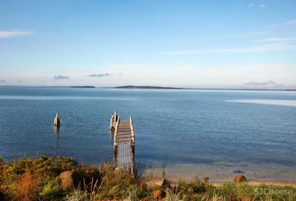 诗意豪宅世界顶级超模李昕的家