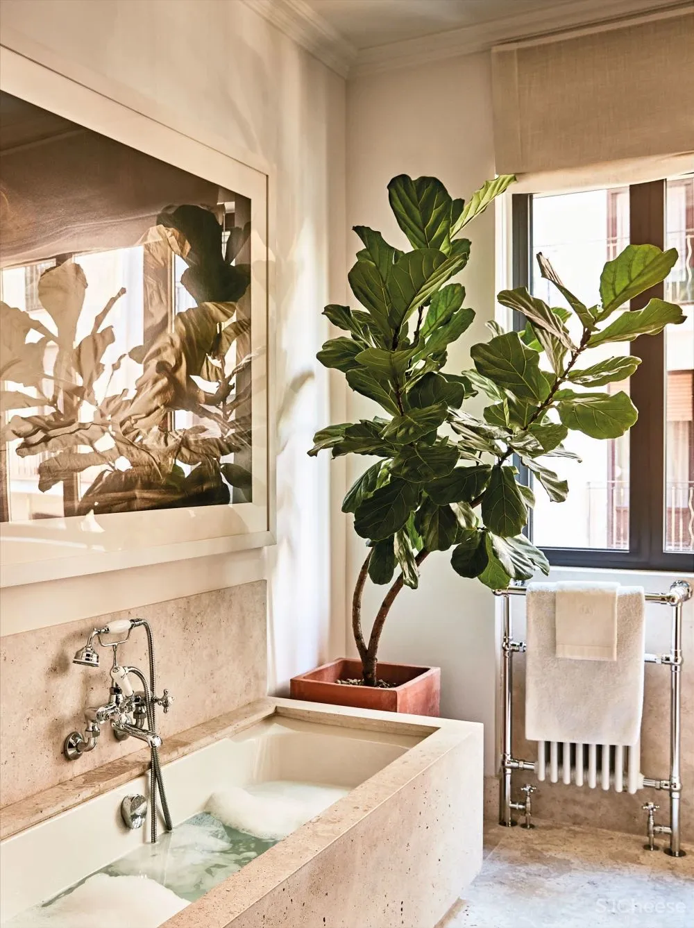 西班牙超模Eugenia Silva 的家,极具雅致的别样空间