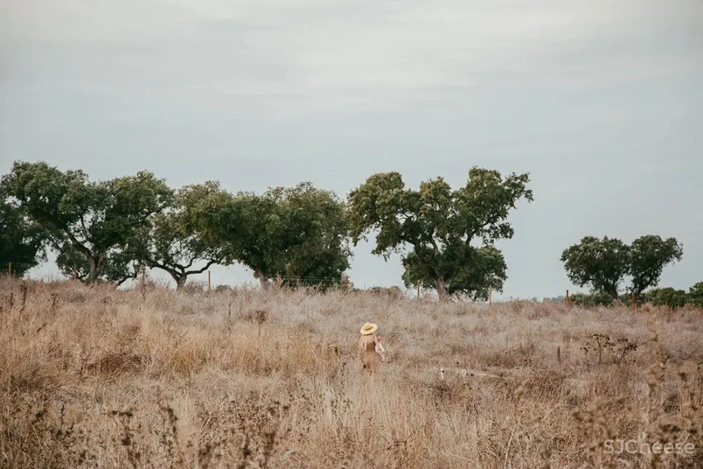 一座孤独的乡村民宿，400公顷田园丛林，这里的心灵治愈很高级！
