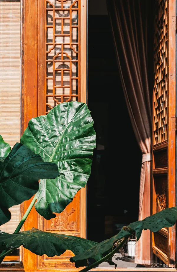 旧房糅合新貌,诠释民宿生活的意境