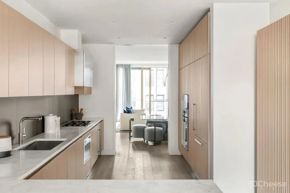 Real estate 纽约现代 自然舒适