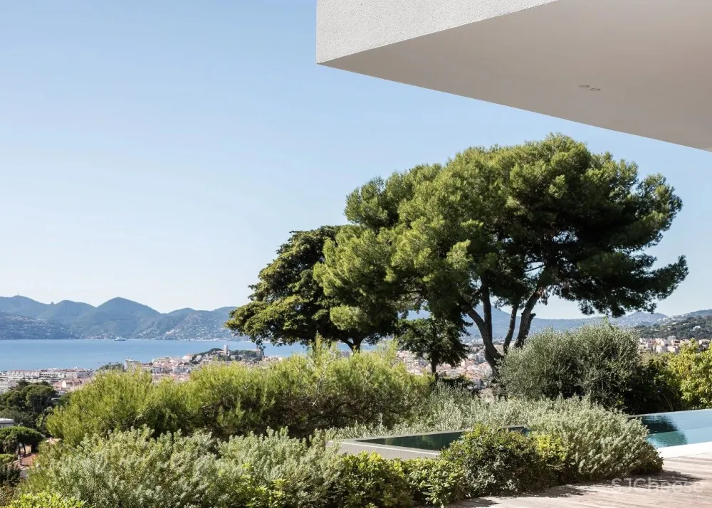 Caprini&Pellerin 传统与现代的演绎