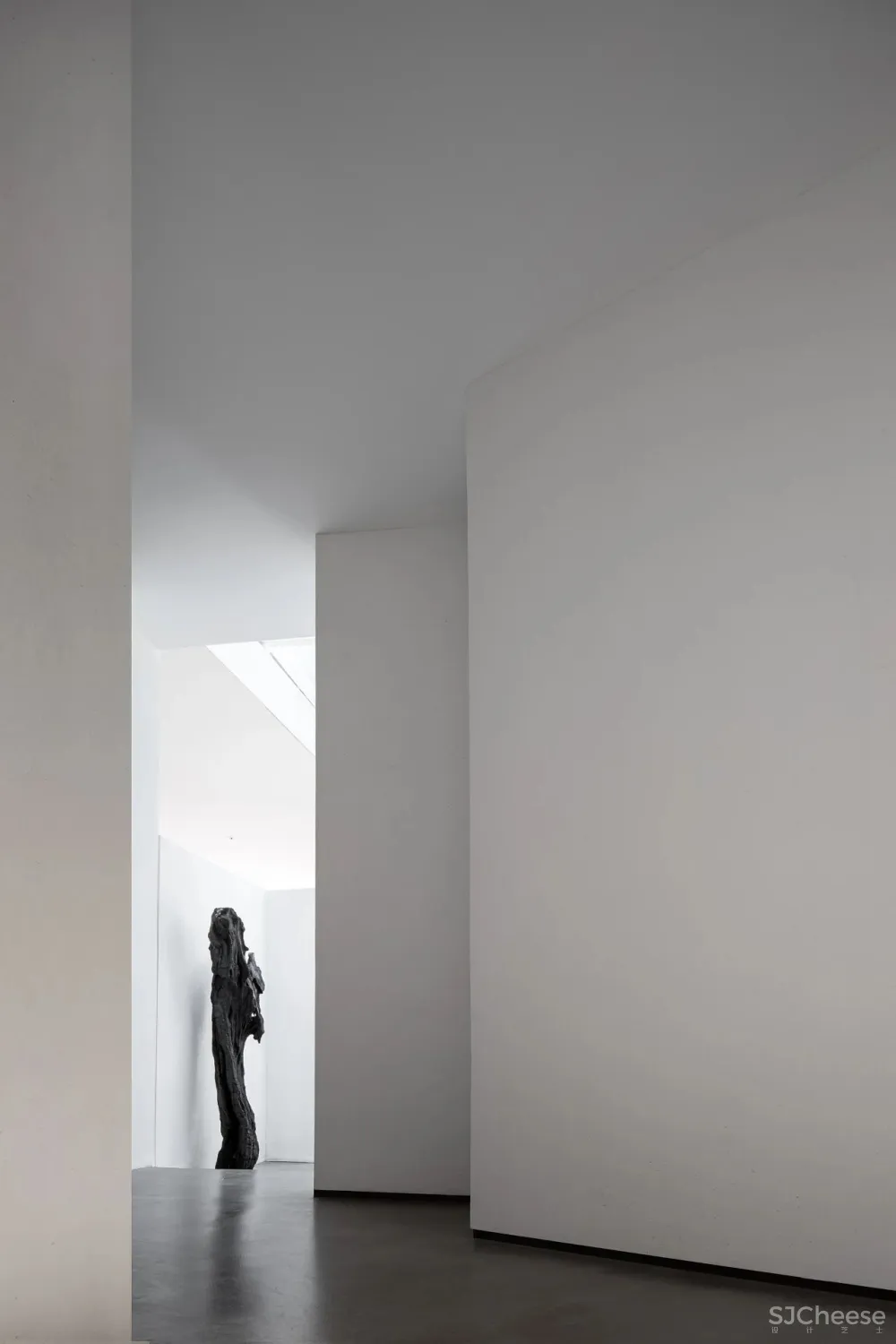 今古凤凰 来于自然,归于自然