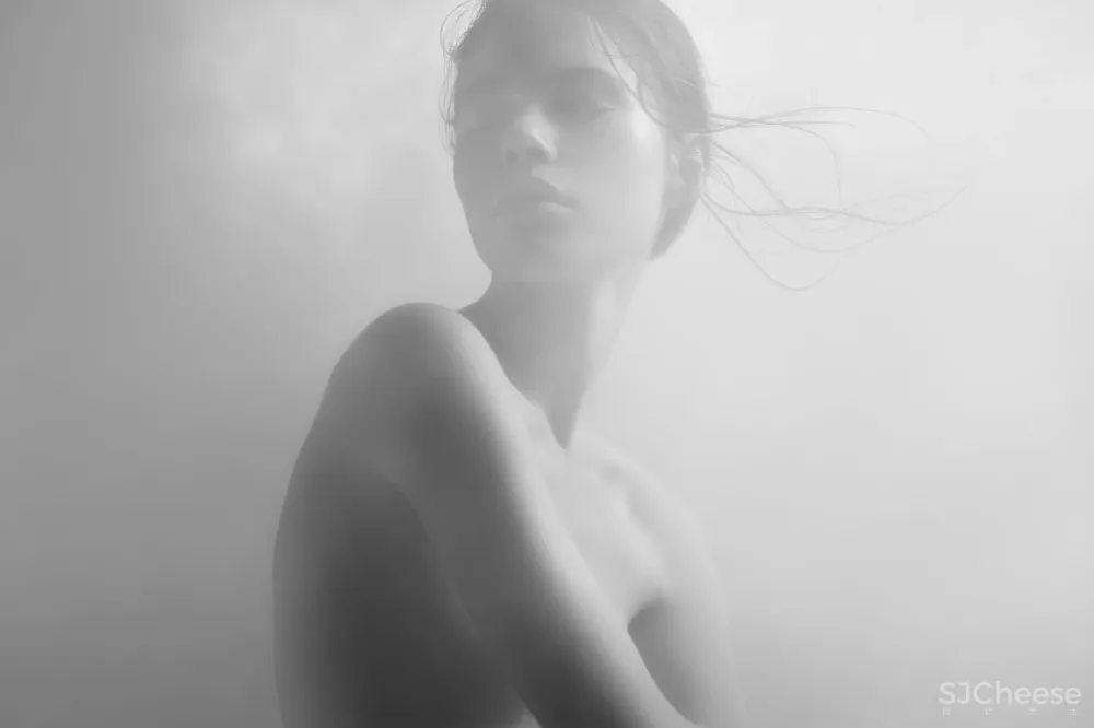 Real estate 澳大利亚 时尚住宅