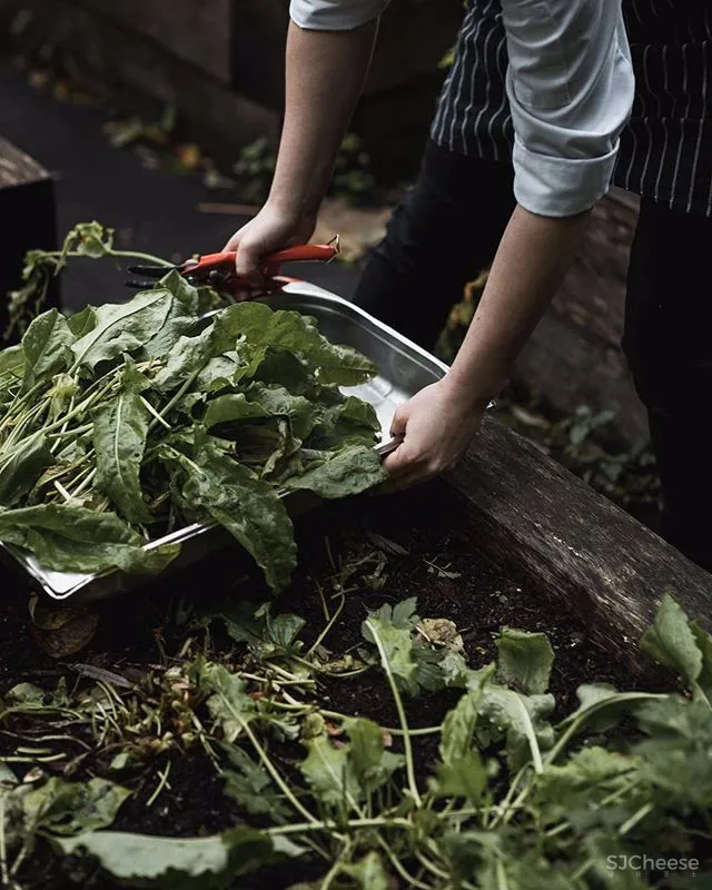 米其林大厨将餐厅开在莫奈画中静美的乡村,美食也是一种超级治愈!