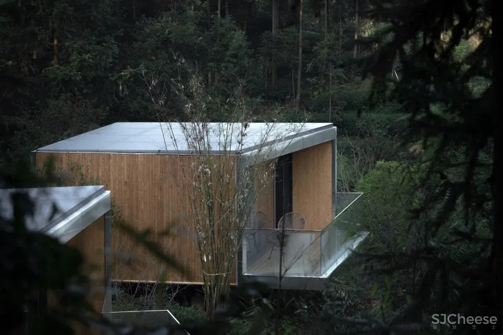 茶田里的悬浮木屋 千山云舍三峡木屋酒店